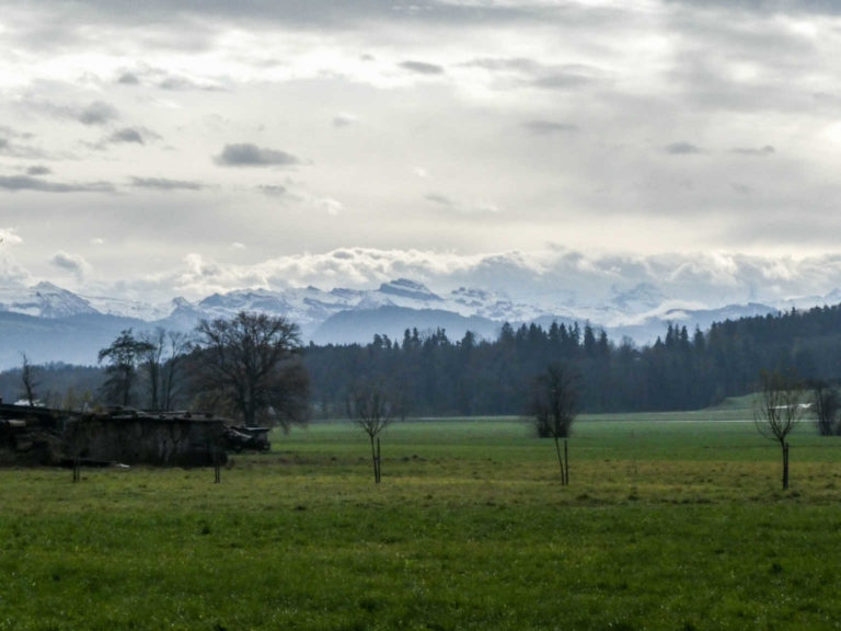 2019_SACUster_Bild13_P1070473-49-2