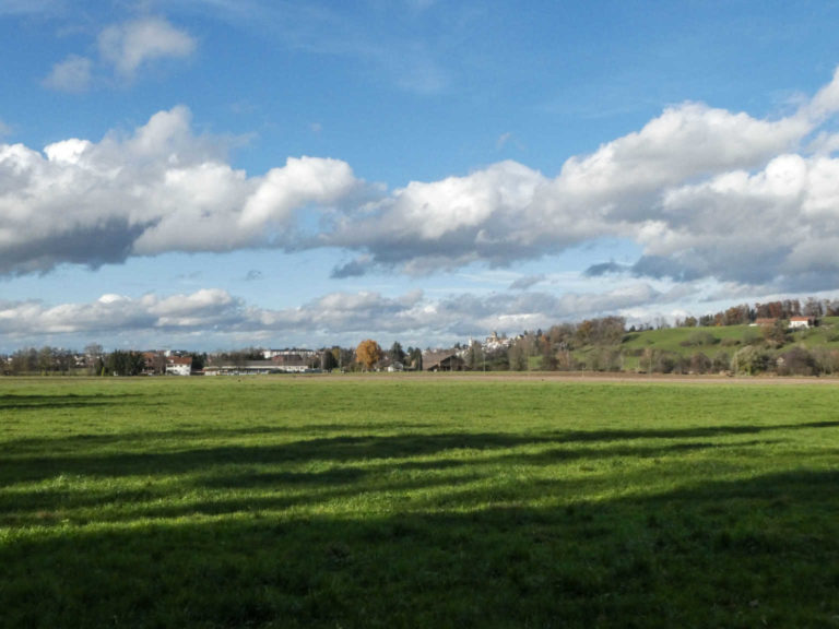 2019_SACUster_Bild17_P1070480-56-2