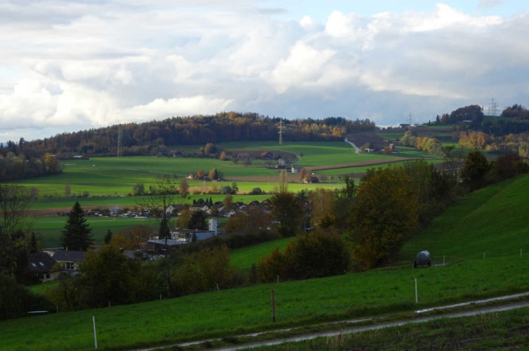 DSC08085