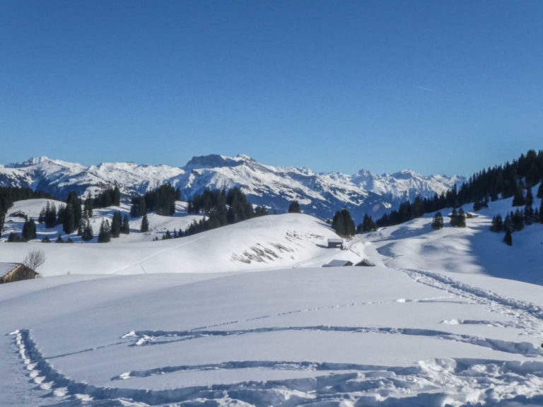 SAC SS-Tour Grüsch-Danusa mit René Kuch vom 22. Jan. 2020.