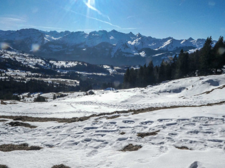 2020_SACRotenflue_Bild11_P1070764-22-2