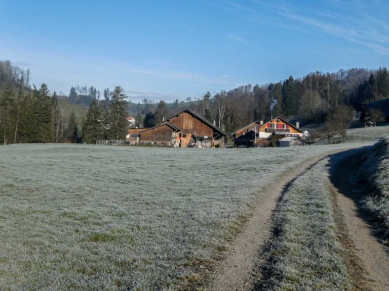 2020_SACSihlsprung_Bild11_P1070722-13-2