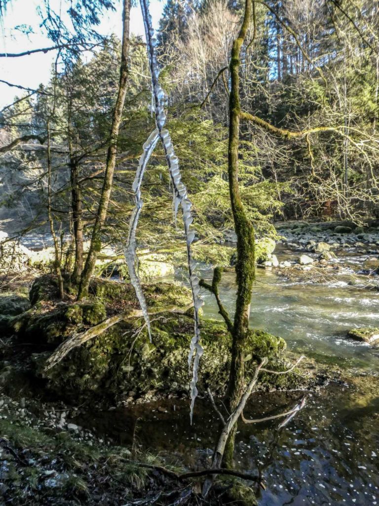 2020_SACSihlsprung_Bild16_P1070733-23-2