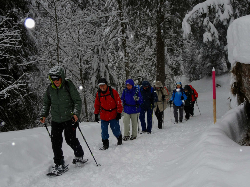 Winterwanderung in Flims (W/B/T1) Agnes Isenschmid