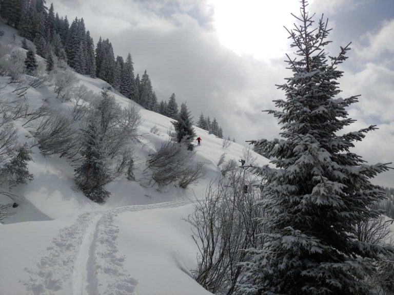 025_SKI_Windau200228_Michi_125