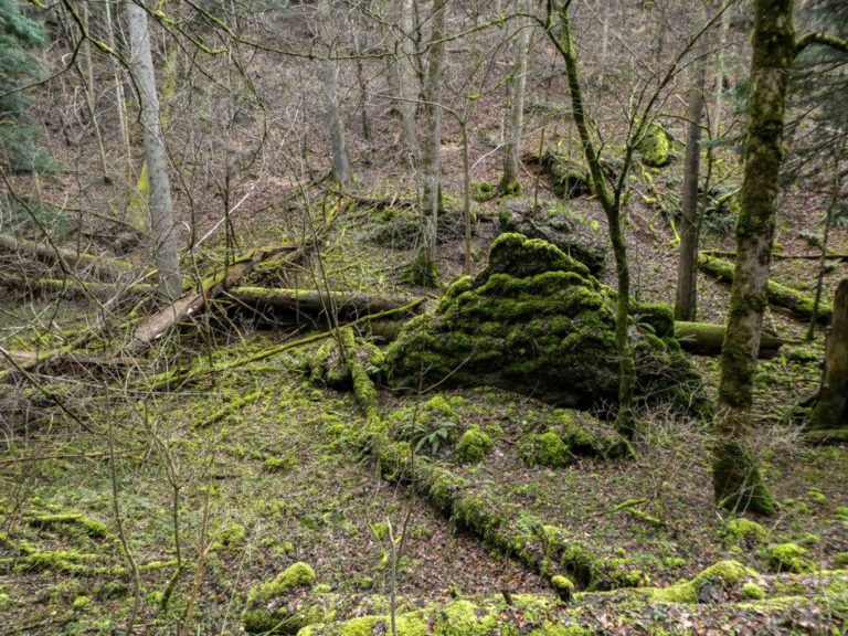 SAC_Tüfelschäller_Bild05_P1080355-7-2