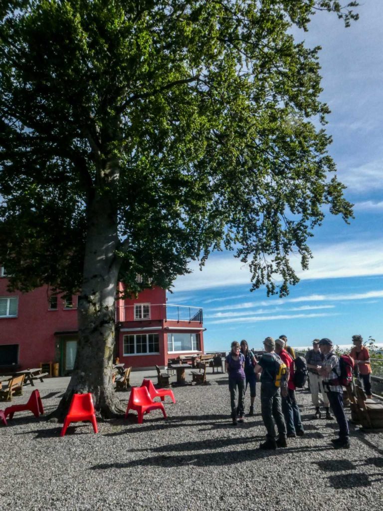 Bild06_P1080532-11