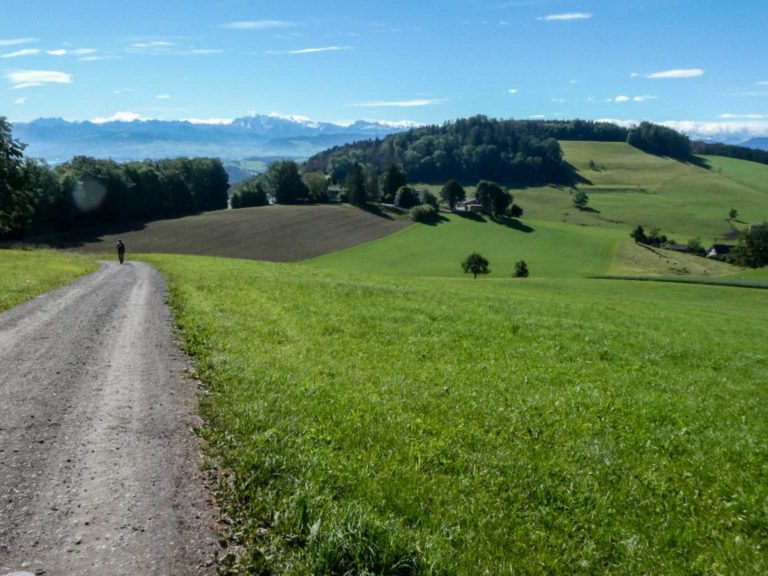 Bild07_P1080538-18