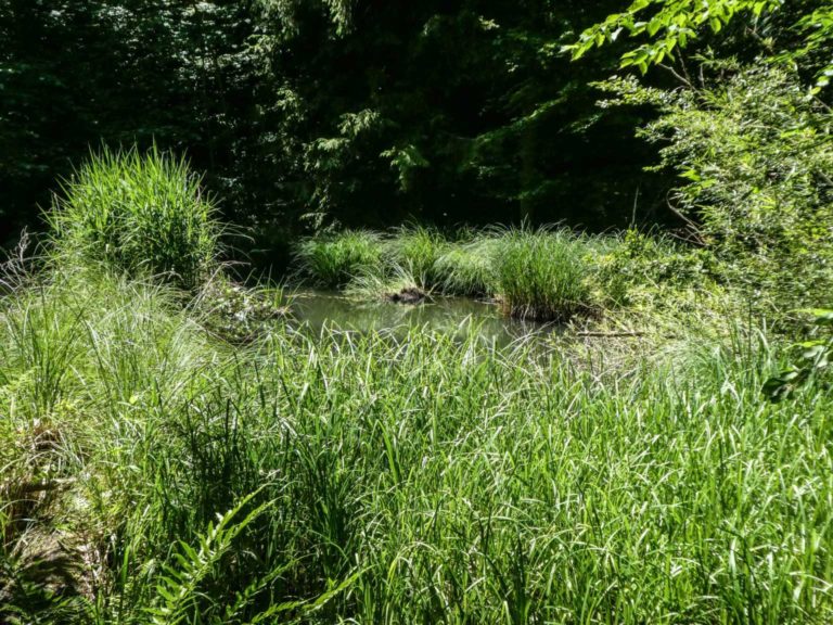 Bild17_P1080573-44