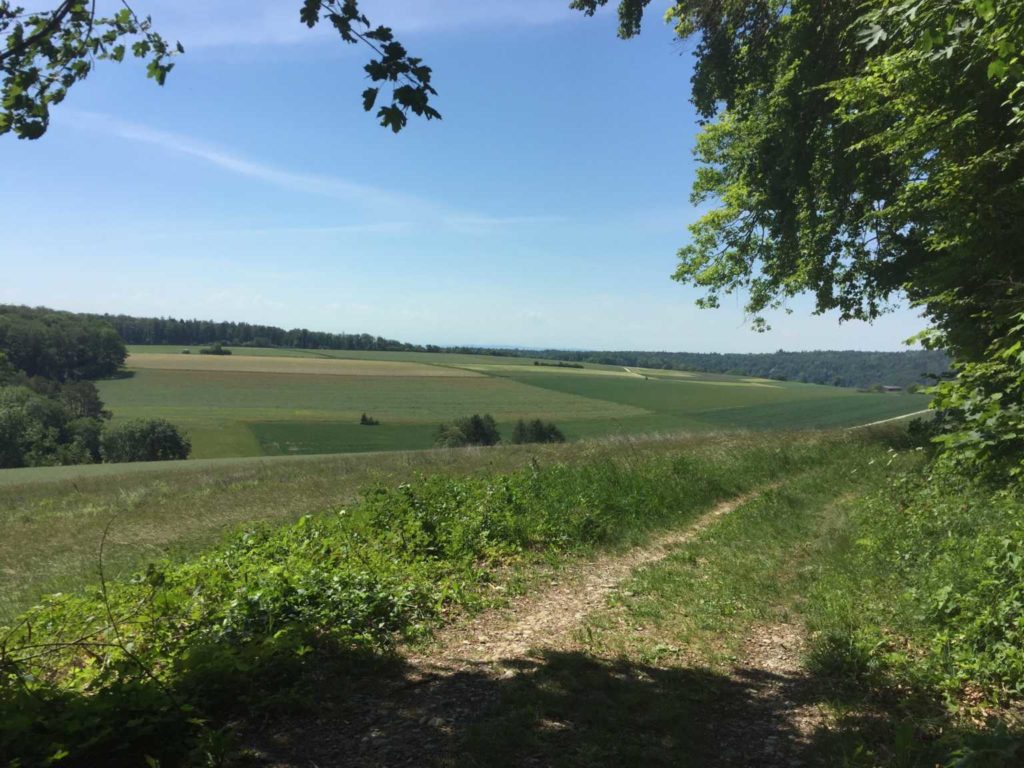 im Randengebiet (W/C/T1) Hans Gonzenbach