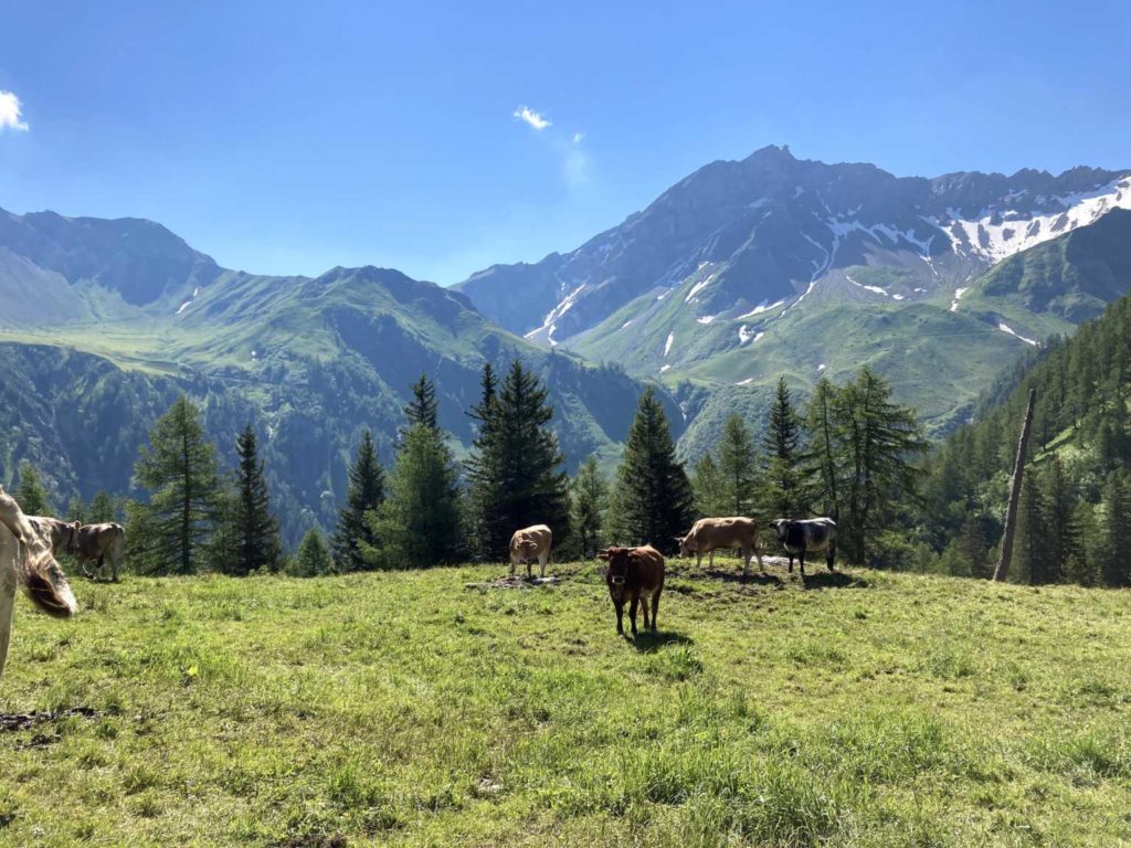 Liechtenstein-Höhenwanderung (W/B/T2 – T3) Willi Streuli