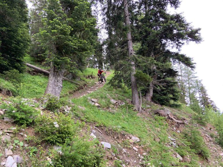 SAC_Wallis_2020_200615_011