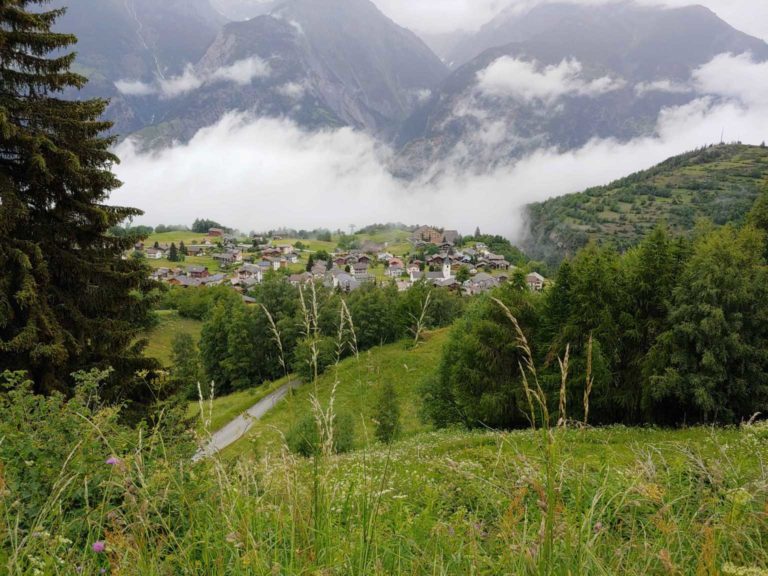 SAC_Wallis_2020_200617_021