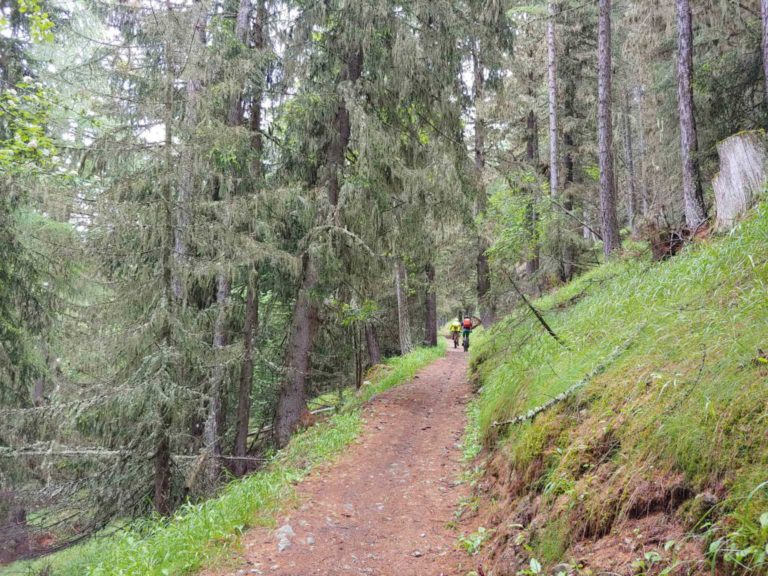 SAC_Wallis_2020_200617_022