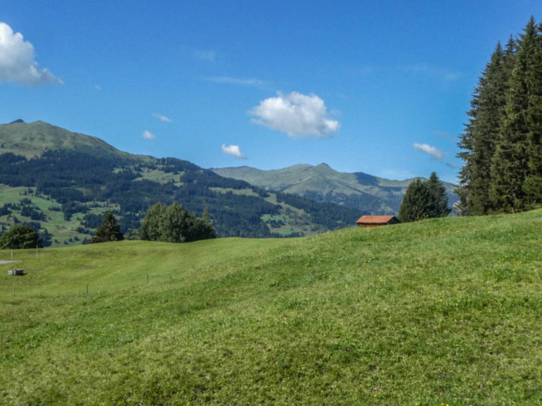 Bild05_P1080712-10-2