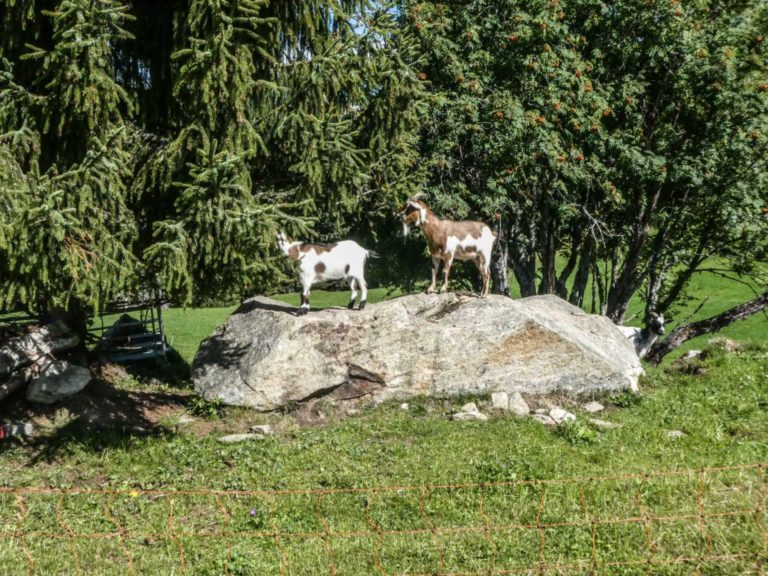 Bild10_P1080721-19-2