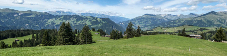 Bild11_Panorama722-24-23