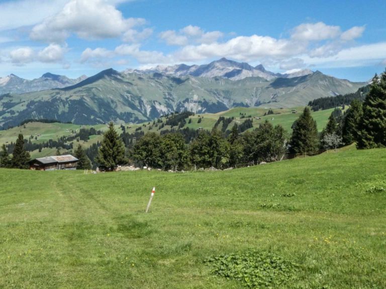 Bild12_P1080725-24-2