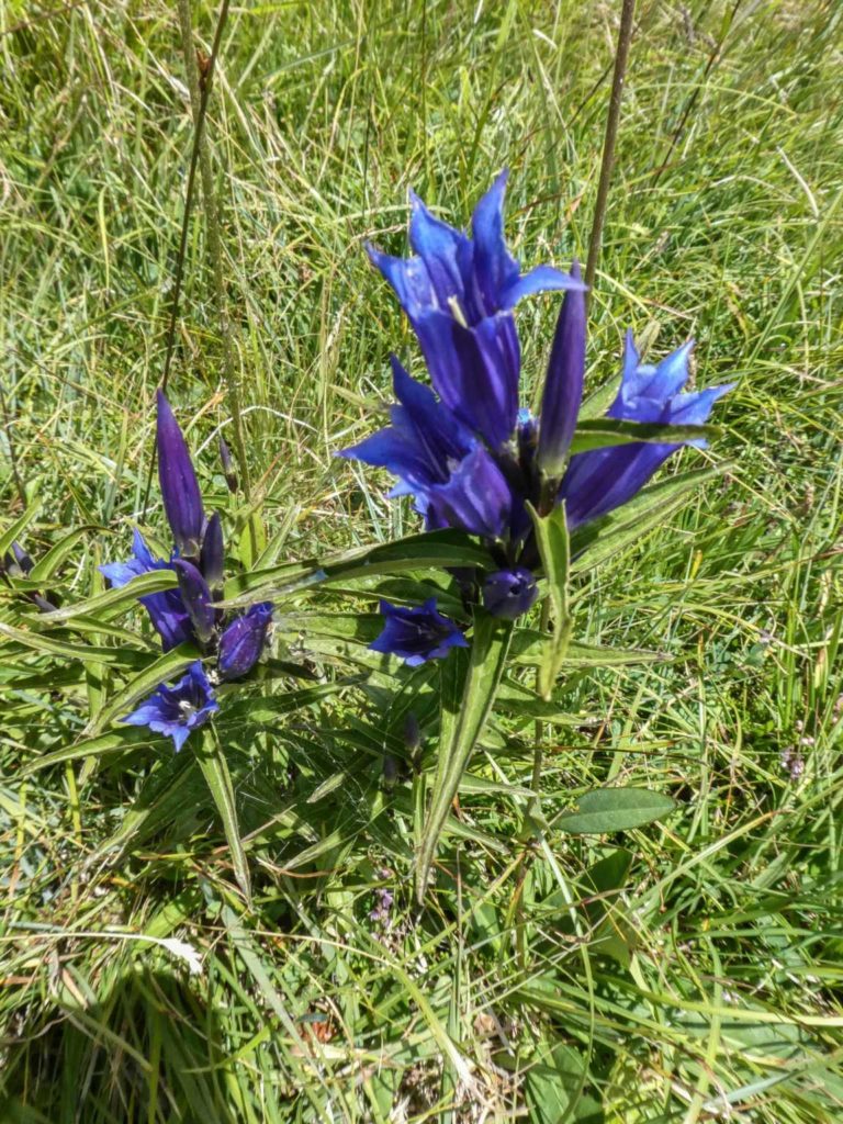 Bild17_P1080735-34-2