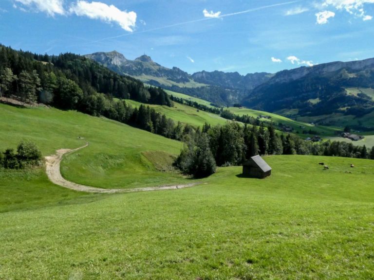 Bild19_P1080833-68-2