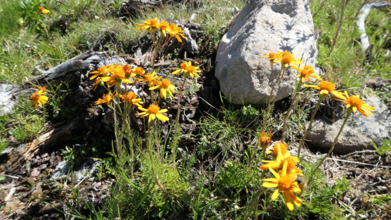 P1011640