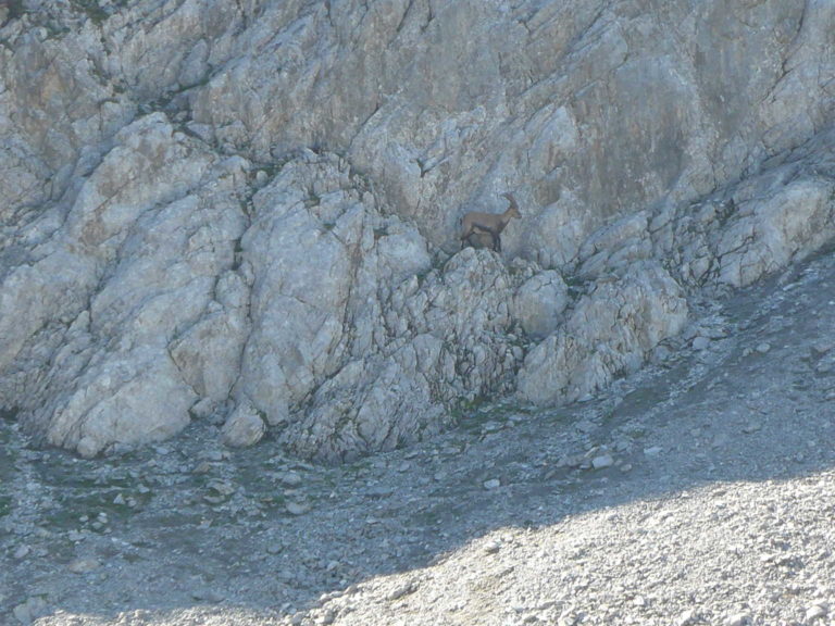 P1070831