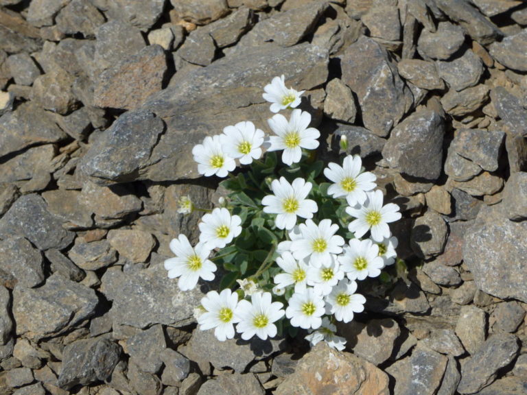 P1070876
