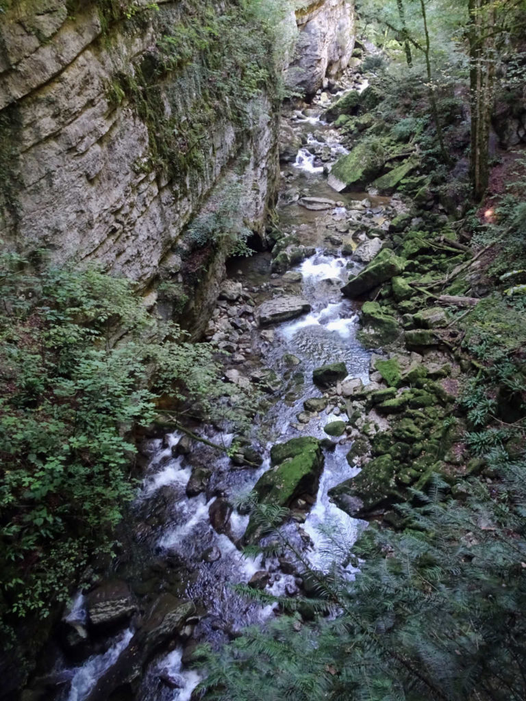DSC09293