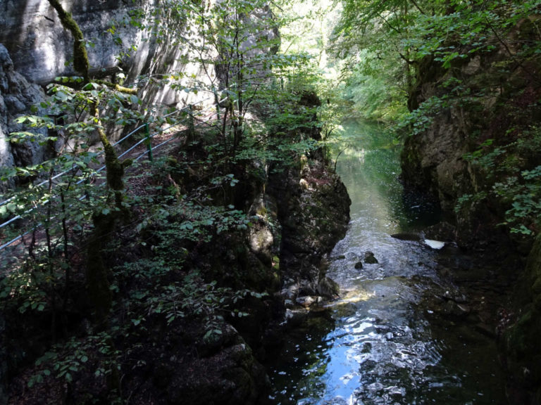 DSC09327