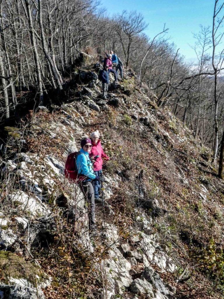 2020_11_SACLägern_P1090816-24-2