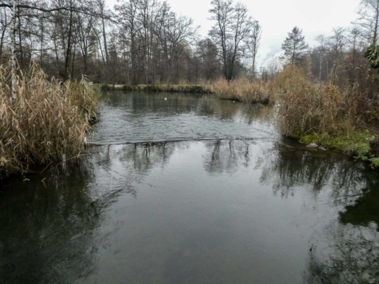 2020_SACMittelpunktZH_Bild03_P1090852-6-2