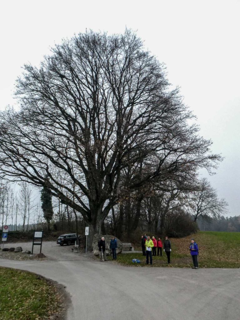 2020_SACMittelpunktZH_Bild13_P1090884-32-2