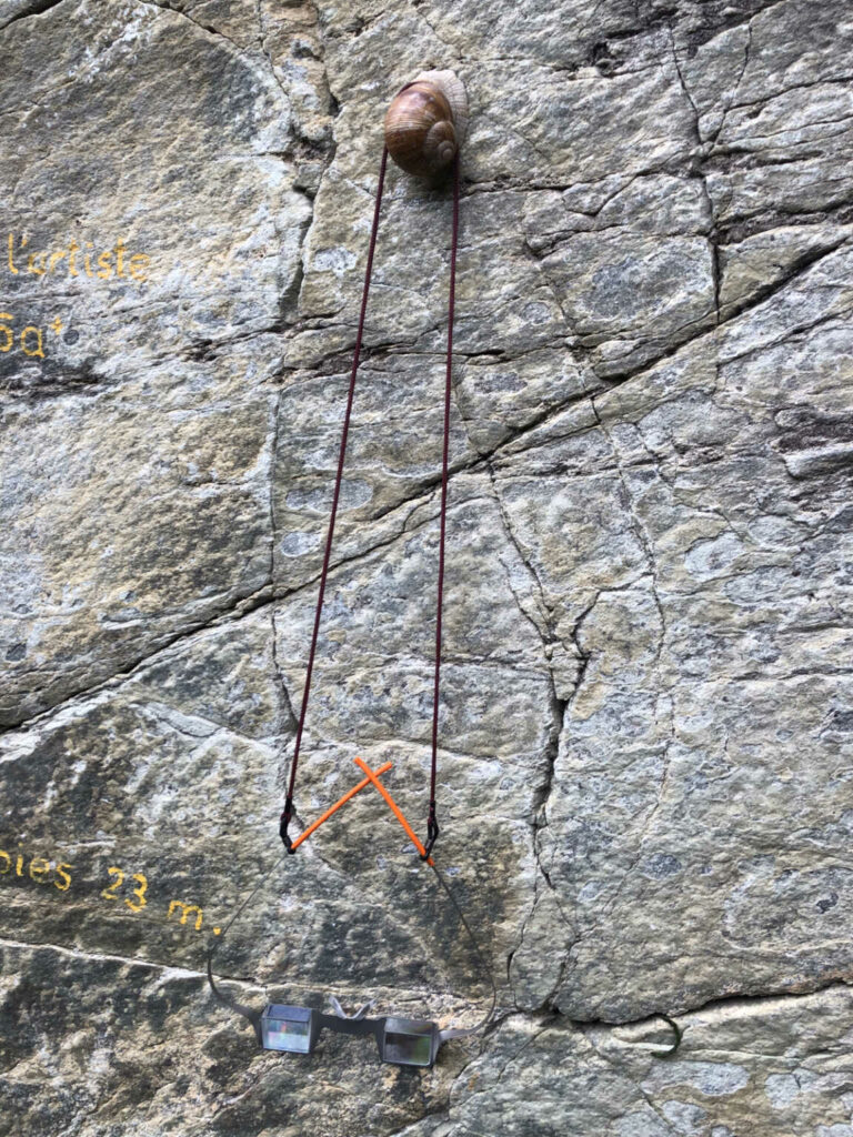 image-20210708-152111