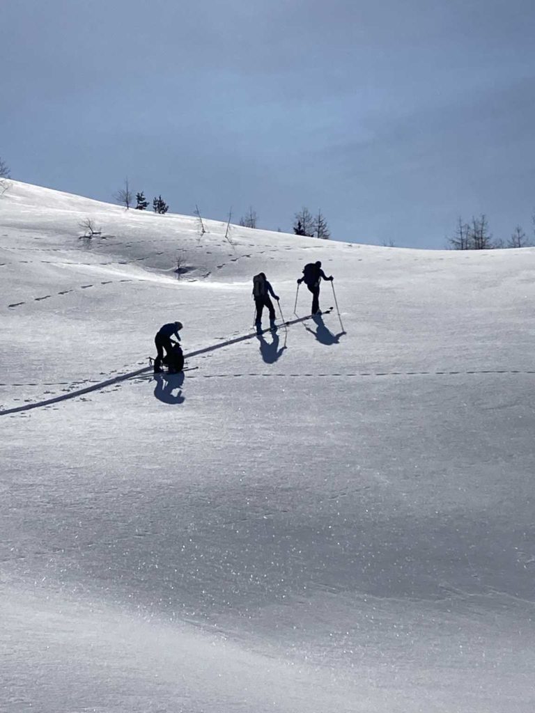 Geniesser Limone Piemont TW BGF (S/B/WS+) Michael Kirsch