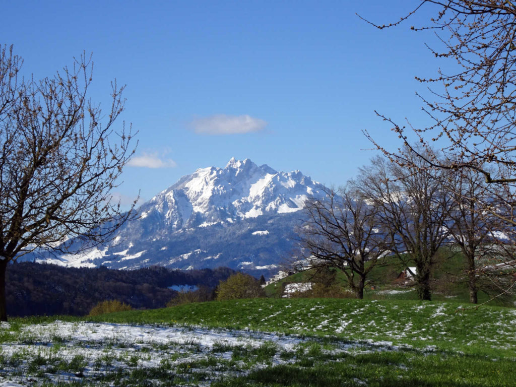 Höhenweg vor den Toren Luzerns (W/C/T1) Alex Burri
