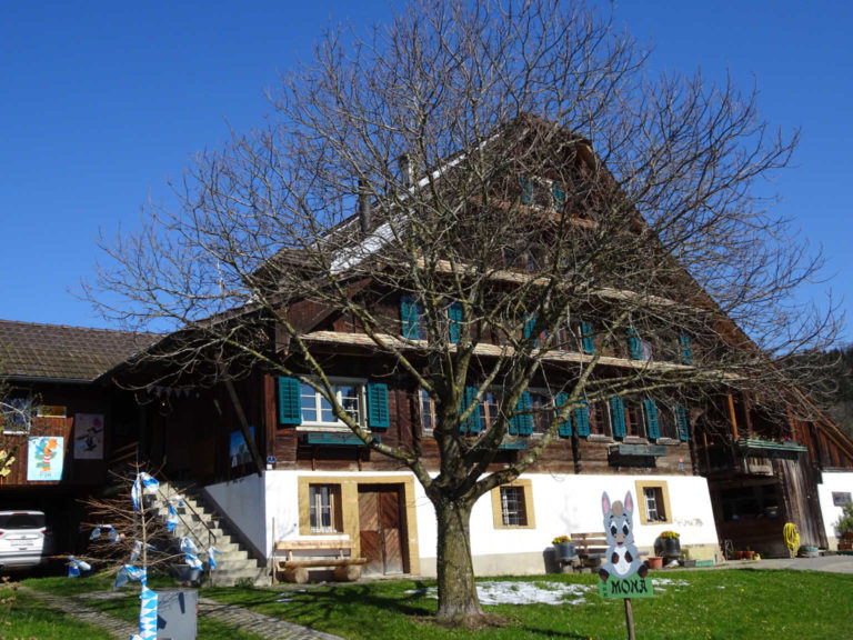 DSC09947