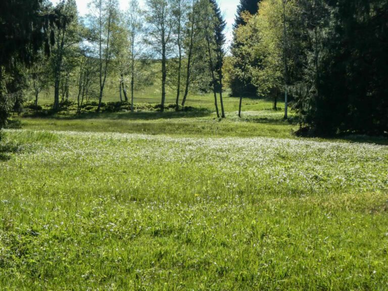 2021_SACEtzel_Bild02_P1100494-10-2