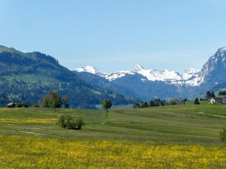 2021_SACEtzel_Bild04_P1100497-13-2