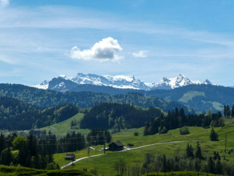 2021_SACEtzel_Bild11_P1100516-30-2