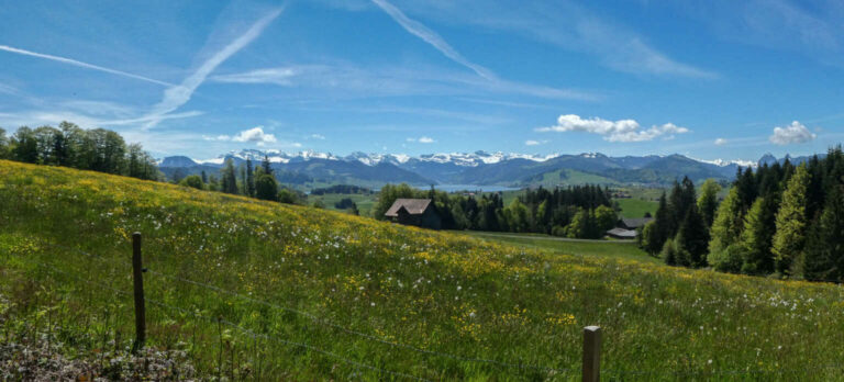2021_SACEtzel_Bild13_P1100521-34-2