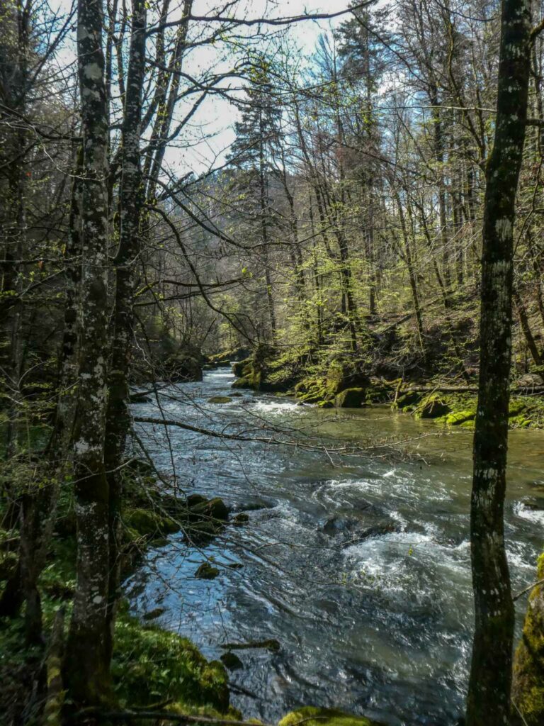 2021_SAC_Thurweg_Bild05_P1100296-16-2