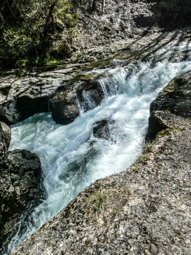 2021_SAC_Thurweg_Bild06_P1100308-24-2
