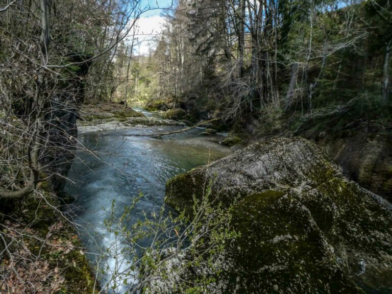 2021_SAC_Thurweg_Bild07_P1100310-25-2