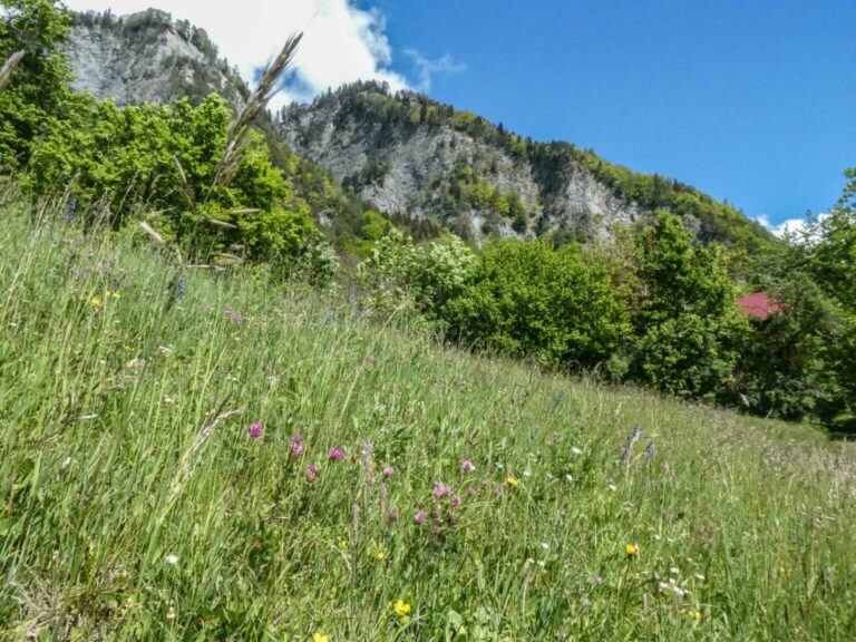 Bild28_2021_SACFadära_Bild18_P1100471-58-2