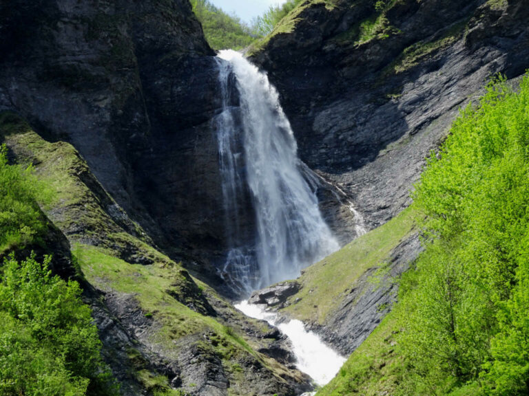 080