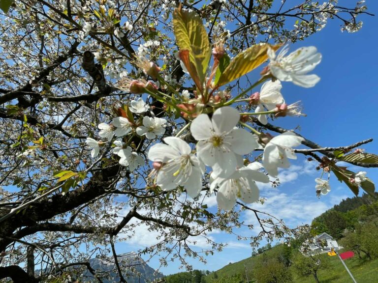 Bild 05