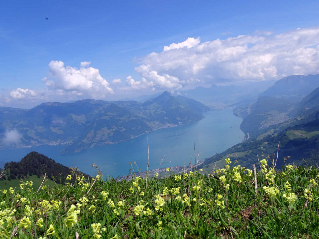 Buochserhorn (W/C/T2) Hans Gonzenbach