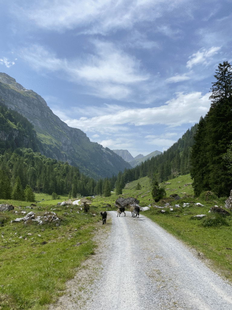 Talfahrt