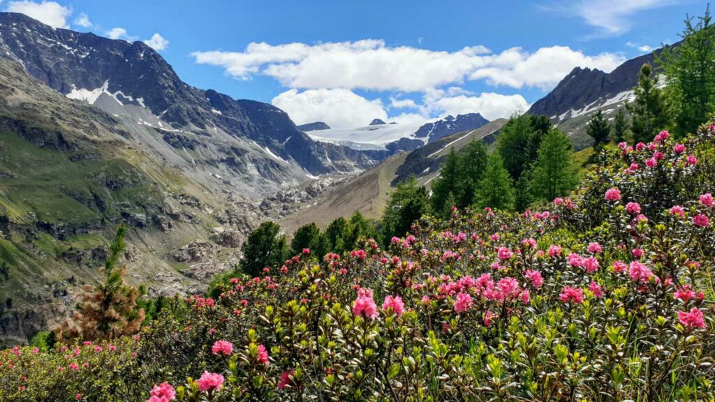Langtaufers I-Vinschgau TW (W/B/T3) Franco Poletti