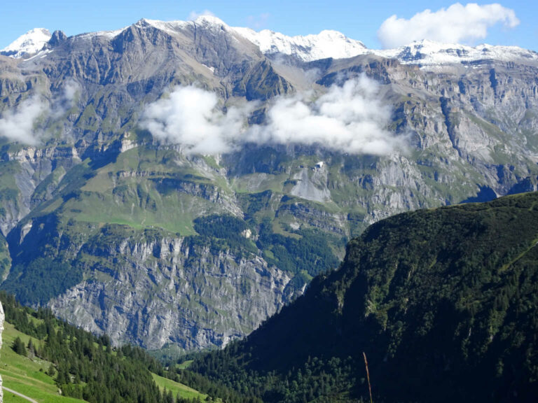 DSC00866